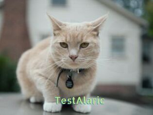TestAlaric