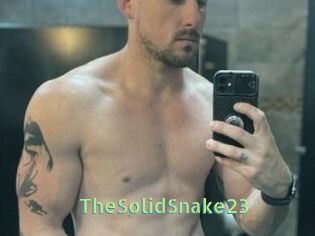 TheSolidSnake23