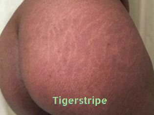 Tigerstripe