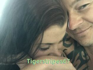 Tigerstripes67