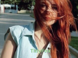 TinyFox