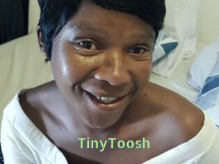 TinyToosh