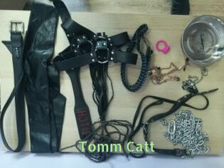 Tomm_Catt
