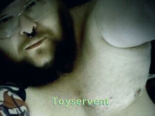 Toyservent