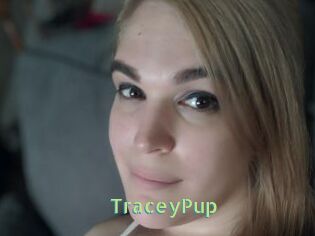 TraceyPup