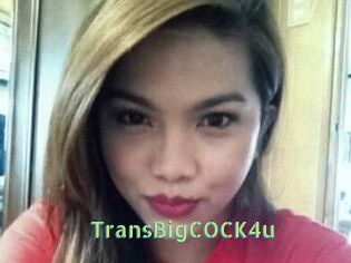 TransBigCOCK4u