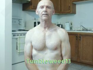 Tumbleweed13