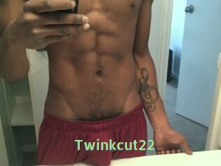 Twinkcut22