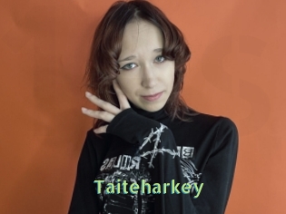Taiteharkey