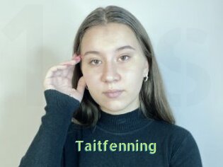 Taitfenning