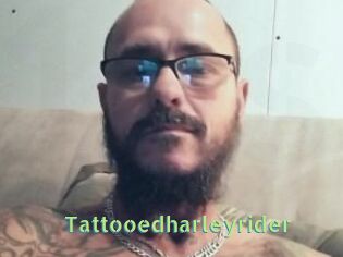 tattooedharleyrider Une Etudiante Sexy