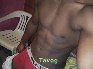Tavog