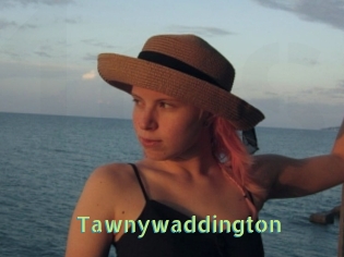 Tawnywaddington