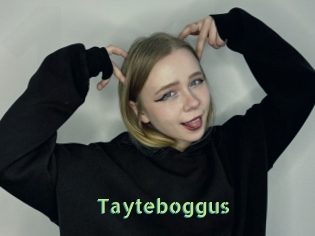 Tayteboggus