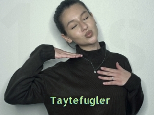 Taytefugler