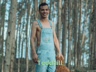 Teddhill