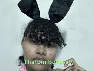 Thatbimbobunny