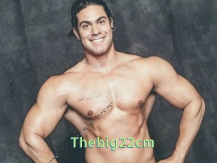 Thebig22cm
