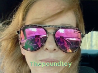 Thepoundtoy