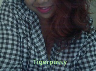 Tigerpussy