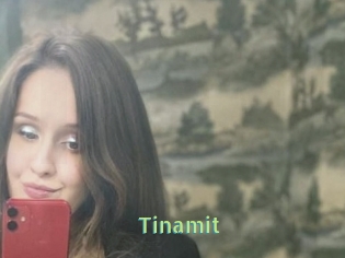 Tinamit
