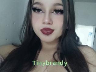 Tinybrandy