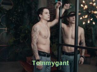 Tommygant