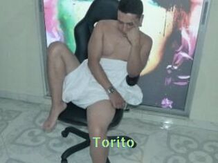 Torito
