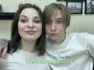 Trevisandemily