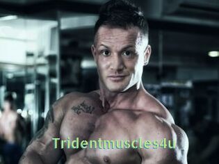 Tridentmuscles4u