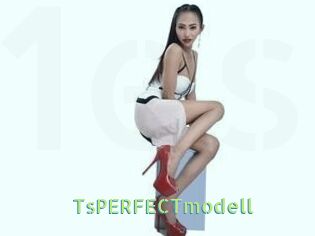 TsPERFECTmodell