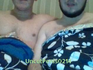 UncutPenis0214