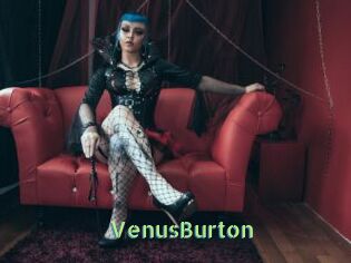 VenusBurton