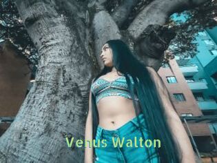 Venus_Walton