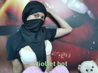 Viollet_hot