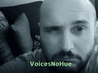 VoicesNoHue