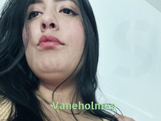 Vaneholmes