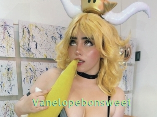 Vanelopebonsweet