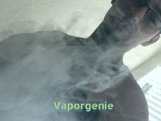 Vapor_genie