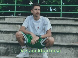 Velamikbarbosa