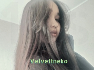 Velvettneko