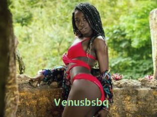 Venusbsbq
