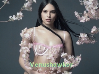 Venushawker