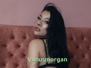 Venusmorgan