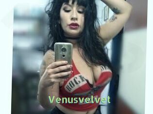 Venusvelvet