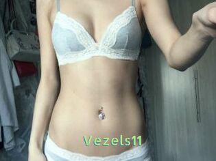 Vezels11