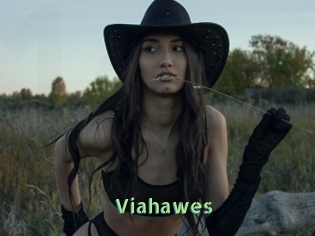 Viahawes