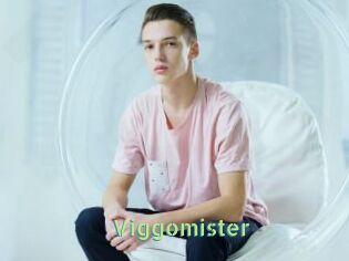 Viggomister