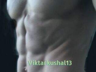 Viktarkushal13