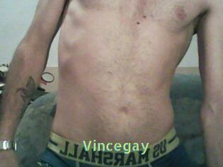 Vincegay